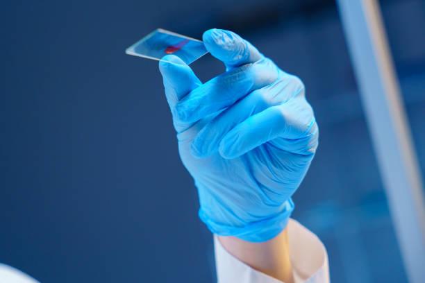 Eco-Friendly Solutions: How Gum Rosin Supports Sustainable Formulations