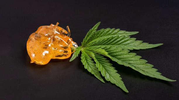 The epic growth story of Jeifer Resin: Deeply Rooted in The Rosin Industry, Empowering Global Industry.